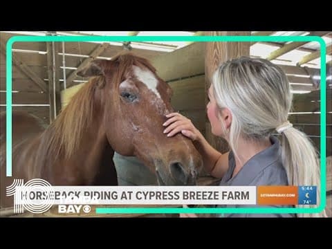 Looking for something for the family to do? Check out horseback riding at Cypress Breeze Farm