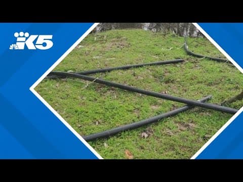 Washington, Oregon lead nation in theft of copper wire