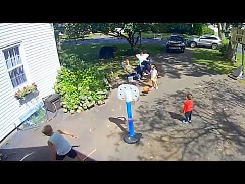 Bear walks up to family playing in driveway in Simsbury, CT