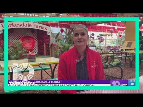 Historic strawberry farm market in Florida