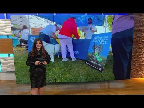 Working for Our Planet | Picking up after your pet