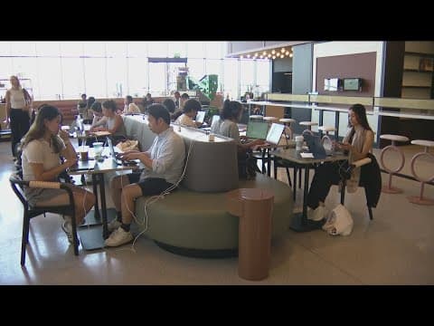 Sorrento Mesa's new 'Treehouse' restaurant embraces the outdoors and net-zero goals