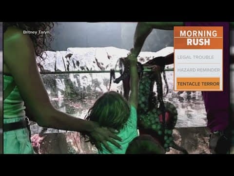 Woman says octopus attacked her son at San Antonio Aquarium