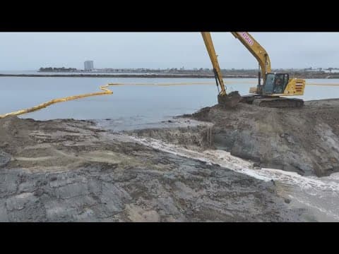 Huge milestone reached for wetland restoration in the South Bay