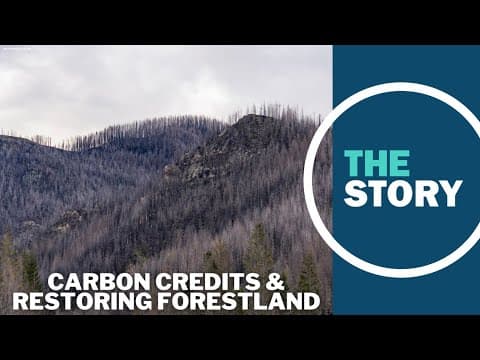 Northwest company says there's a market-based solution to restoring wildfire-scorched forestlands