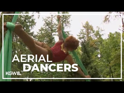 Aerial dancers take over the trees for Art in the Dark