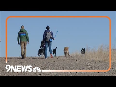 Veterinarians starting to see dogs with snakebites