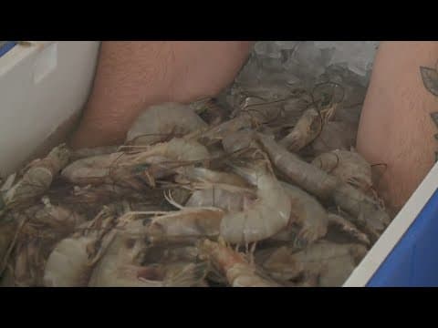 Louisiana shrimpers call for cap on foreign imports