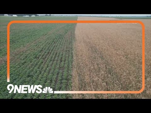 Farms could play a key role in storing carbon dioxide