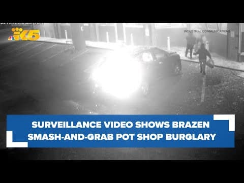 Surveillance footage shows early morning pot shop smash-and-grab robbery
