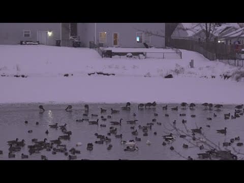 Mother, daughter recovering after falling through icy Greenwood pond