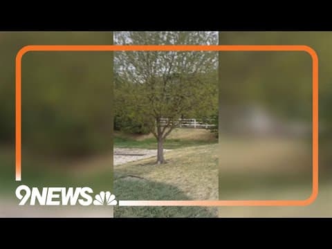 Health expert shares tips for managing spring allergies