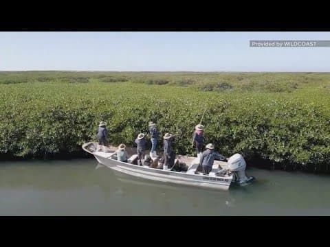 WILDCOAST makes move closer to conservation sites