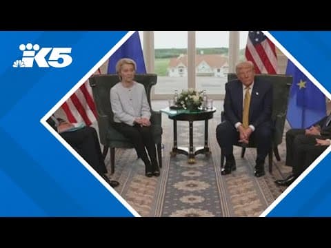 President Trump announces trade agreement with EU