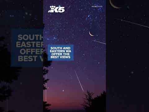 Orionid meteor shower to be visible in Washington