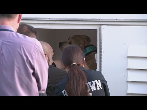 6-month-old girl dies after Baytown dog attack, police say