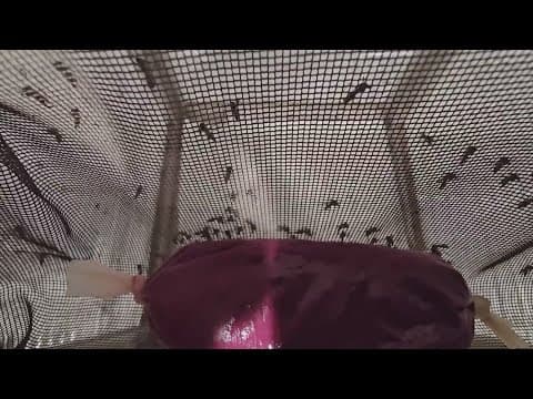 How to avoid mosquito bites this summer