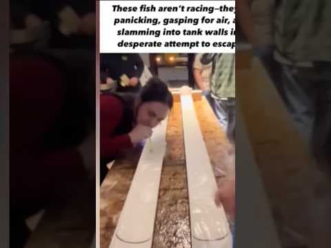 Animal advocacy group protests over goldfish races held at PB Shore Club