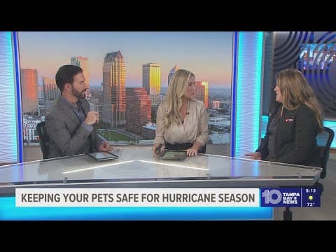 Keeping your pets safe during hurricane and storm season with VEG ER for Pets