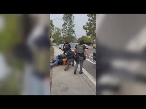 ICE arrests two landscapers in violent Encinitas confrontation captured on video