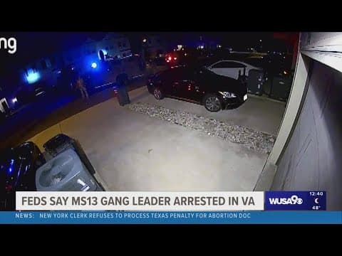 Mother of accused MS-13 gang leader denies accusations against son