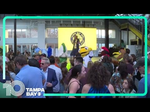 New Tampa Bay pro women's soccer team reveals its name