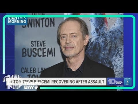 Actor Steve Buscemi is OK after being punched in the face in New York City
