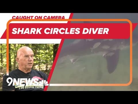 ON CAM: Scary Shark Moment on Vacation Dive