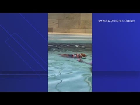 Thicken Nugget takes a dip | The Night Cap