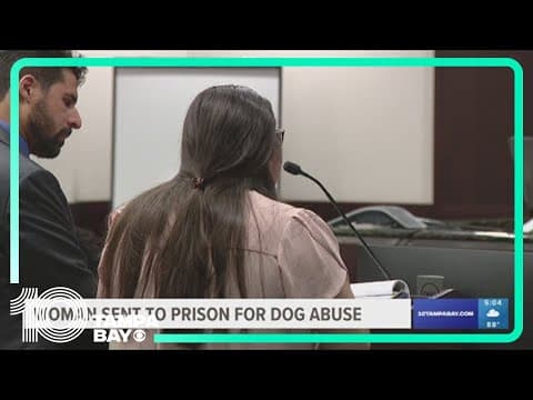 Nearly six-year prison sentence for woman who beat, abused dog in Hillsborough County