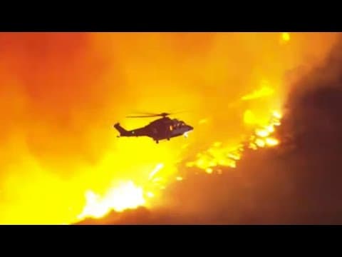 Raw video of California wildfires: New fire breaks out in Hollywood Hills