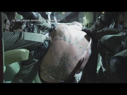 Man deported after 'administrative error'