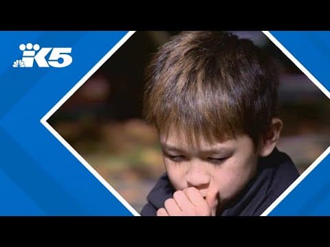 Kirkland police looking for driver who ran over boy's foot in crosswalk