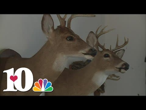 Gun hunting season for deer opens Nov. 19