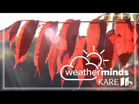 WeatherMinds: How leaves get their fall colors