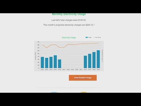Why did electricity usage appear to go up for this Houston couple while their power was out?