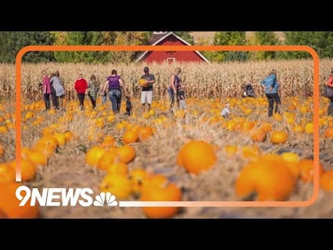 Fall is here at Chatfield Farms