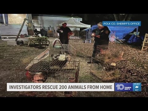 Investigators rescue 200 animals from Polk County home