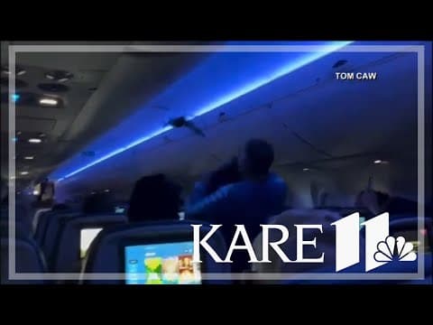 Video: Chaos erupts when pigeons board flight