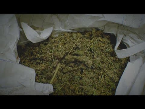 DFL 'trifecta' may open door for legalized marijuana in Minnesota