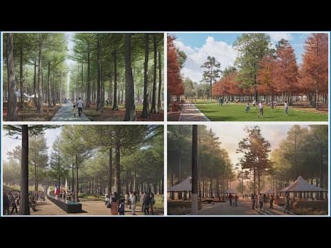 Thousands of cypress trees will create stunning memorial in Houston's urban wilderness