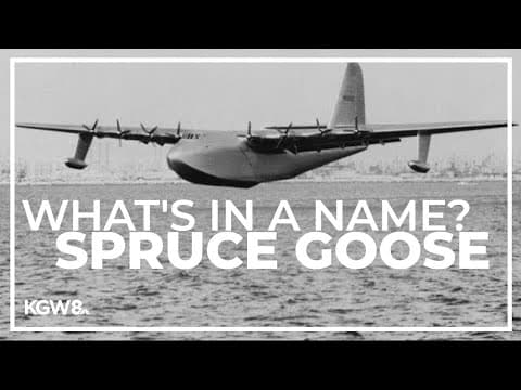Delays, congressional hearings and a very short flight: How the Spruce Goose got its name