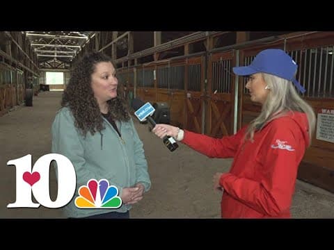 Horse Haven gearing up for dancing fundraiser