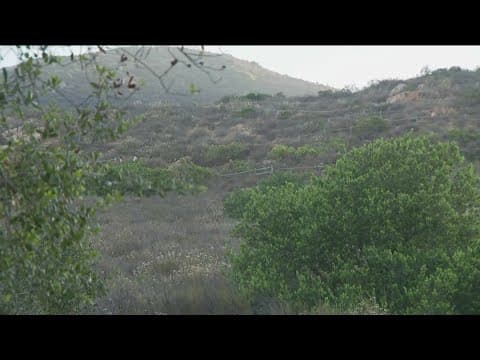 Extreme heat in parts of San Diego County | How to stay safe in the heat