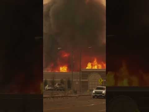 Wildlife Destroys Business Near Los Angeles