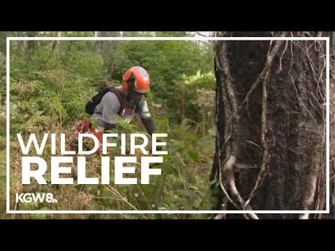 Veteran-led volunteer group helps with recovery efforts in Lincoln County two years after wildfire