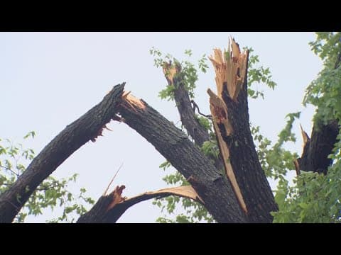 Texas schools cancel last day after storms