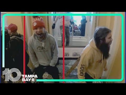 Hillsborough County man arrested for allegedly taking part in Jan. 6 Capitol riots