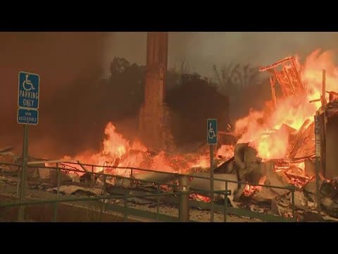 CA fires | 10 dead, 8% containment on Palisades fire