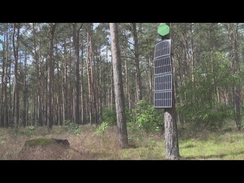 Scientists create new device to detect forest fires before they get out of control